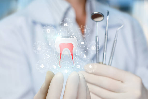 Professional Holistic Dental Care Services in New Albany, OH